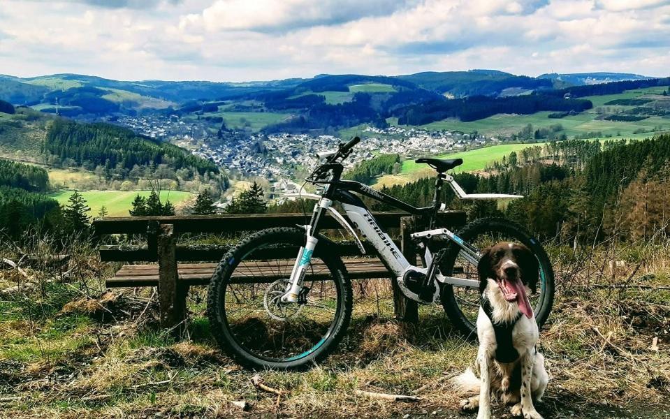 Hotel Haus Am Stein Winterberg Eksteriør bilde